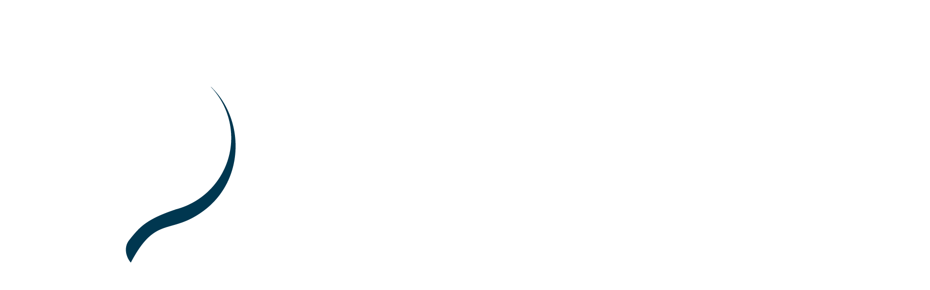 Smart Skills Solutions
